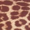 Maron Leopard